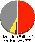 渡松 損益計算書 2009年11月期