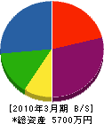 会津電気 貸借対照表 2010年3月期