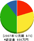 佐々木塗装 貸借対照表 2007年12月期