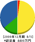 丸山工業 貸借対照表 2008年12月期