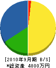 蛭田電気工業所 貸借対照表 2010年9月期