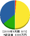 上田環境衛生 貸借対照表 2010年9月期