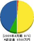 渡辺善建設 貸借対照表 2009年4月期