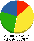 飯泉設備工業 貸借対照表 2009年12月期