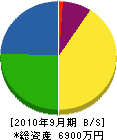 斉藤電気 貸借対照表 2010年9月期