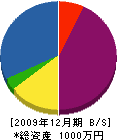安井造園 貸借対照表 2009年12月期