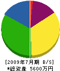 ニシヨシ 貸借対照表 2009年7月期