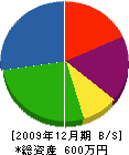 永松建具硝子店 貸借対照表 2009年12月期