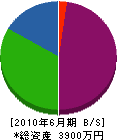 ナカシマ建設 貸借対照表 2010年6月期