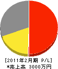 上村ポンプ 損益計算書 2011年2月期