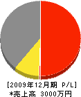 藤田産業 損益計算書 2009年12月期