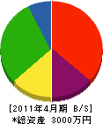 吉澤設備 貸借対照表 2011年4月期