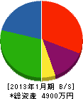 木南電業社 貸借対照表 2013年1月期