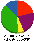 辻組 貸借対照表 2009年12月期