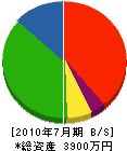 川名石材工業 貸借対照表 2010年7月期
