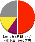 平塚新電社 損益計算書 2012年4月期