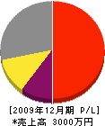 松尾造園緑地 損益計算書 2009年12月期