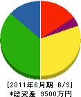 エービーシー環境開発 貸借対照表 2011年6月期