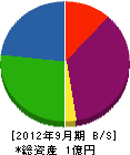 坂井組建設 貸借対照表 2012年9月期