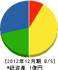 中田組 貸借対照表 2012年12月期