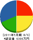 塚本工務店 貸借対照表 2011年5月期