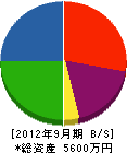 箱崎工務店 貸借対照表 2012年9月期