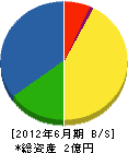 上野建設 貸借対照表 2012年6月期