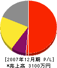 木村勝 損益計算書 2007年12月期