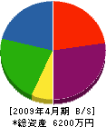 稲井設備工業 貸借対照表 2009年4月期