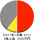 柴田電気商会 損益計算書 2011年1月期