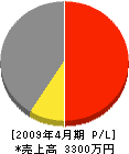 柳田組 損益計算書 2009年4月期