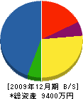 植村電設 貸借対照表 2009年12月期