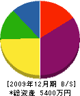 佐藤建設 貸借対照表 2009年12月期