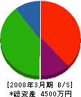 山田工務店 貸借対照表 2008年3月期