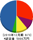 丸孝管工 貸借対照表 2010年12月期