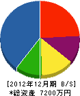 藤井造園土木 貸借対照表 2012年12月期