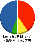 宮原光電社 貸借対照表 2011年9月期