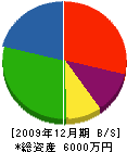 松原建設 貸借対照表 2009年12月期