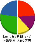 松本電気商会 貸借対照表 2010年9月期