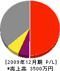 野澤造園 損益計算書 2009年12月期