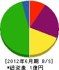 松宮電気工業 貸借対照表 2012年6月期