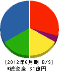 小川工業 貸借対照表 2012年6月期