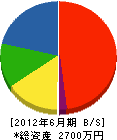 新井電業 貸借対照表 2012年6月期