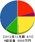 渡瀬建設 貸借対照表 2012年12月期