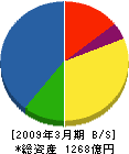 新日鉄ソリューションズ 貸借対照表 2009年3月期