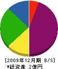 大誠工業 貸借対照表 2009年12月期
