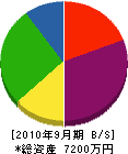 上野土木 貸借対照表 2010年9月期
