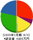 松神建設 貸借対照表 2009年3月期