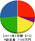野坂電設 貸借対照表 2011年3月期