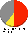 三栄ライン 損益計算書 2012年12月期